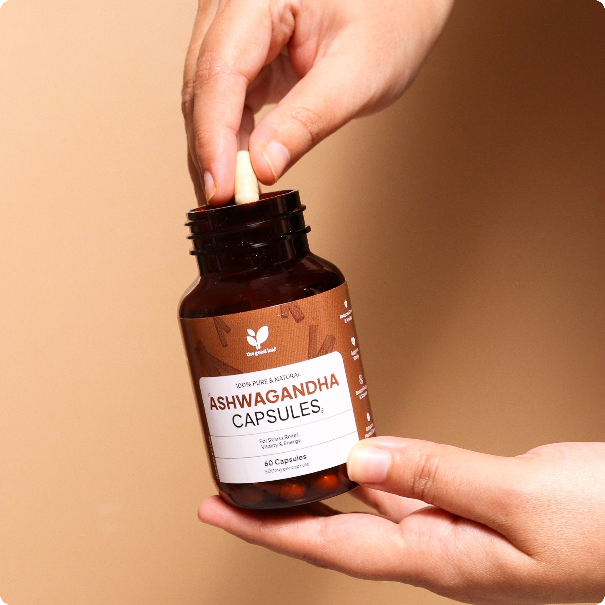 Ashwagandha Capsules