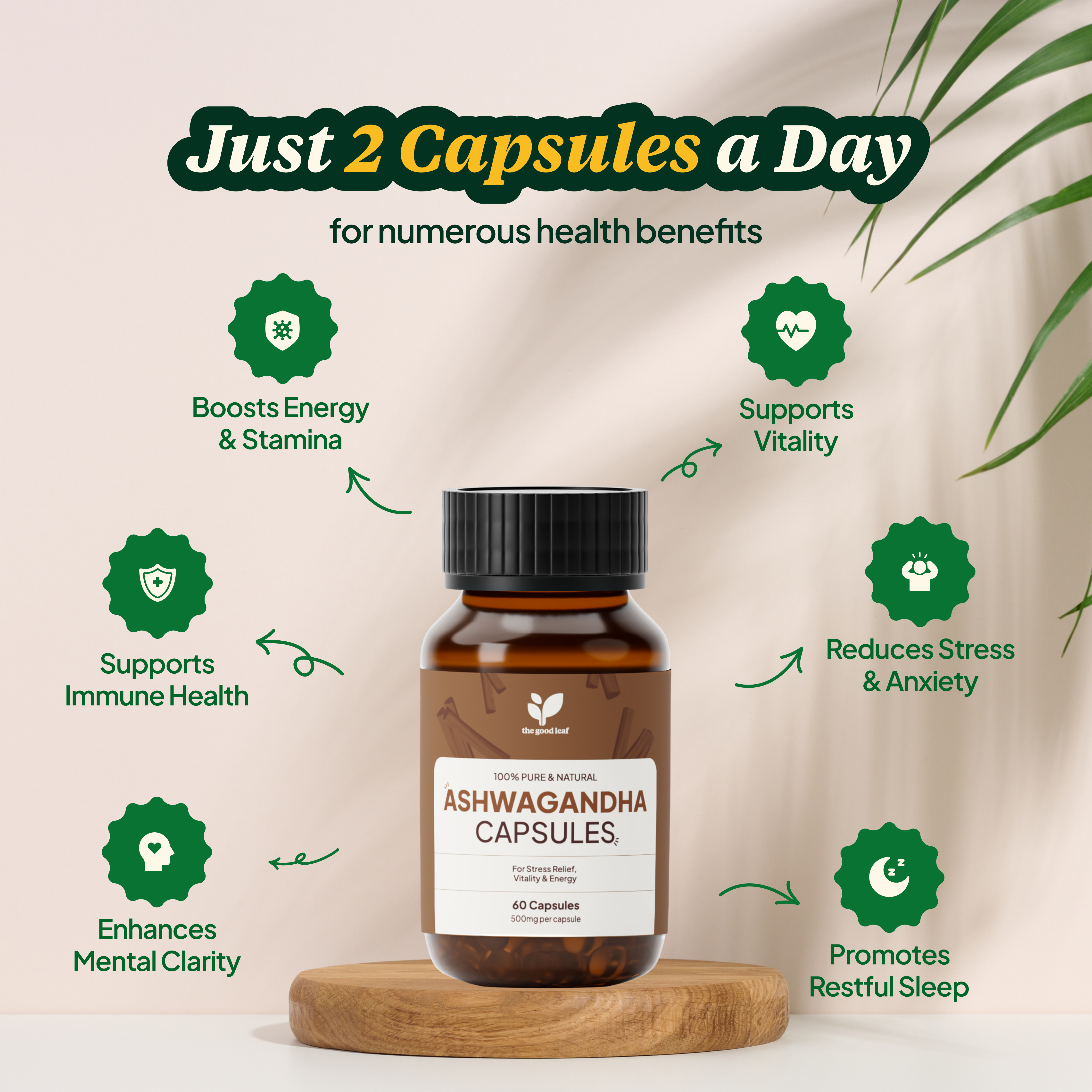 Ashwagandha Capsules