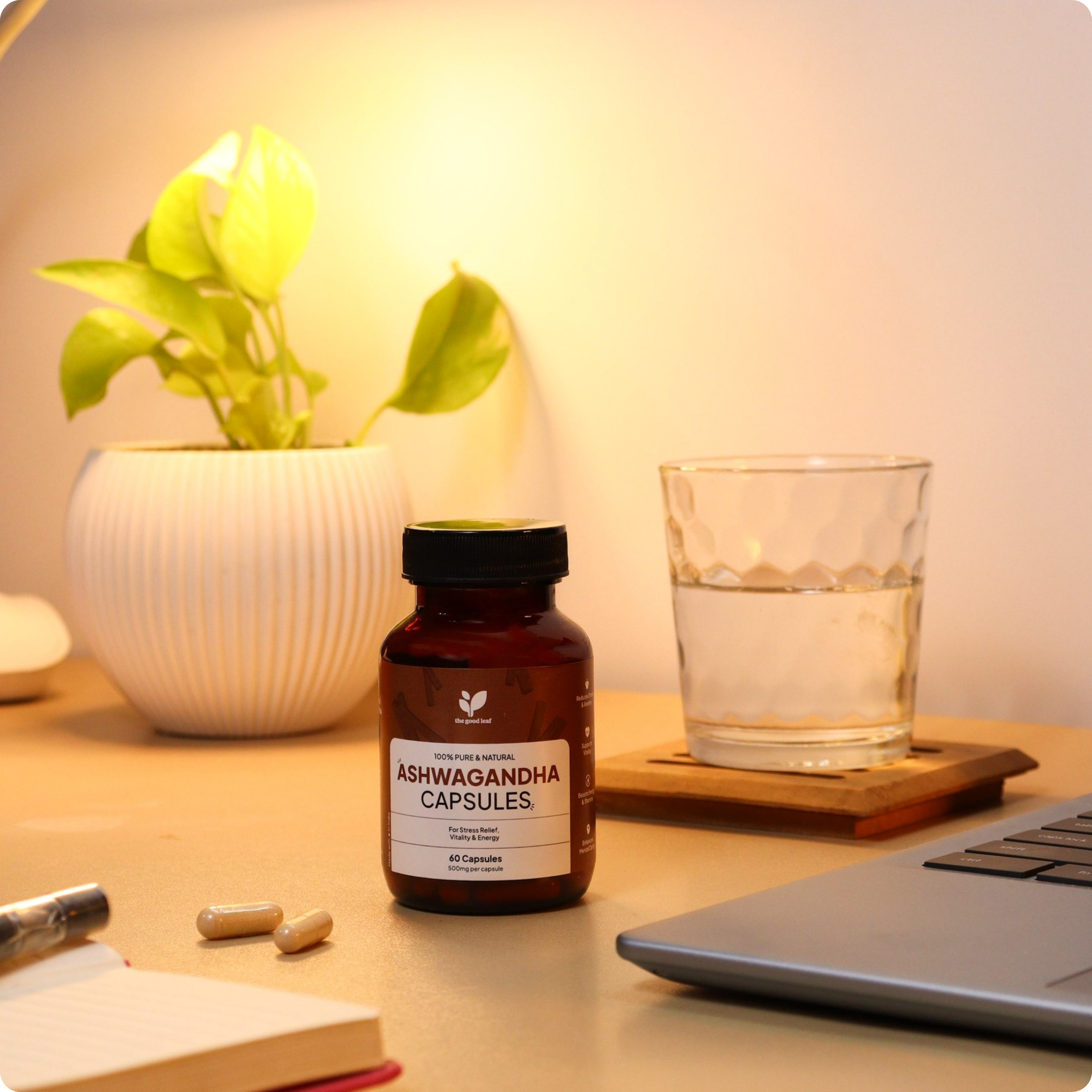 Ashwagandha Capsules