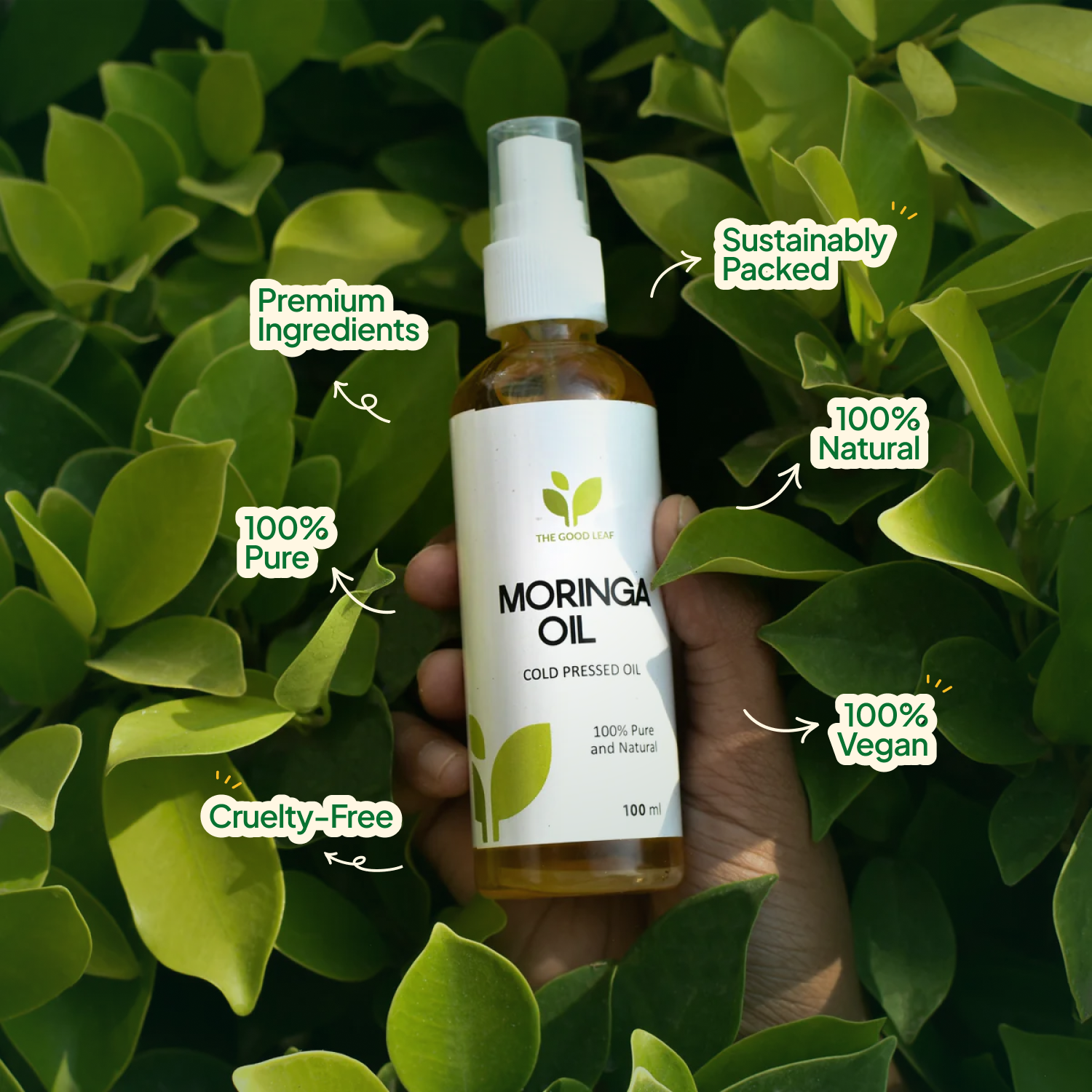 Cold Pressed Moringa Oil