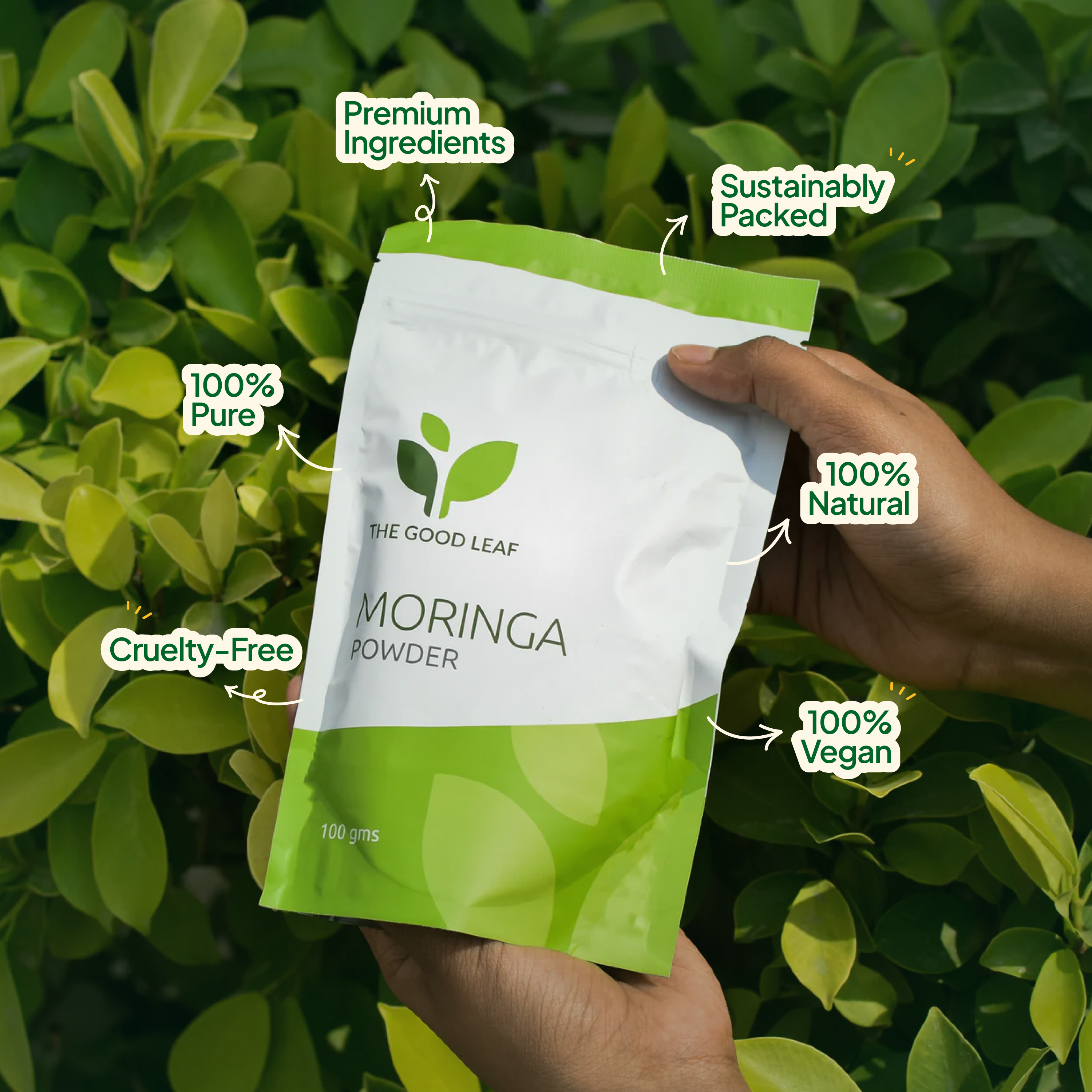 Moringa Powder