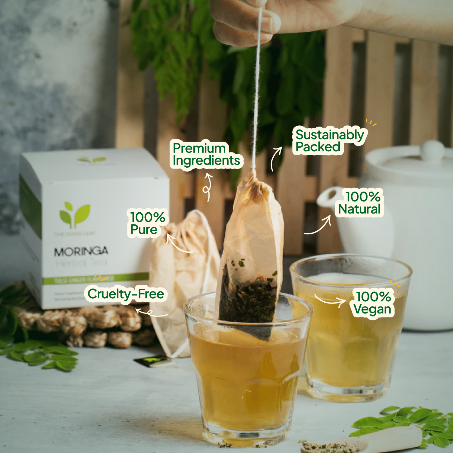 Moringa Herbal Tea Bags - 10