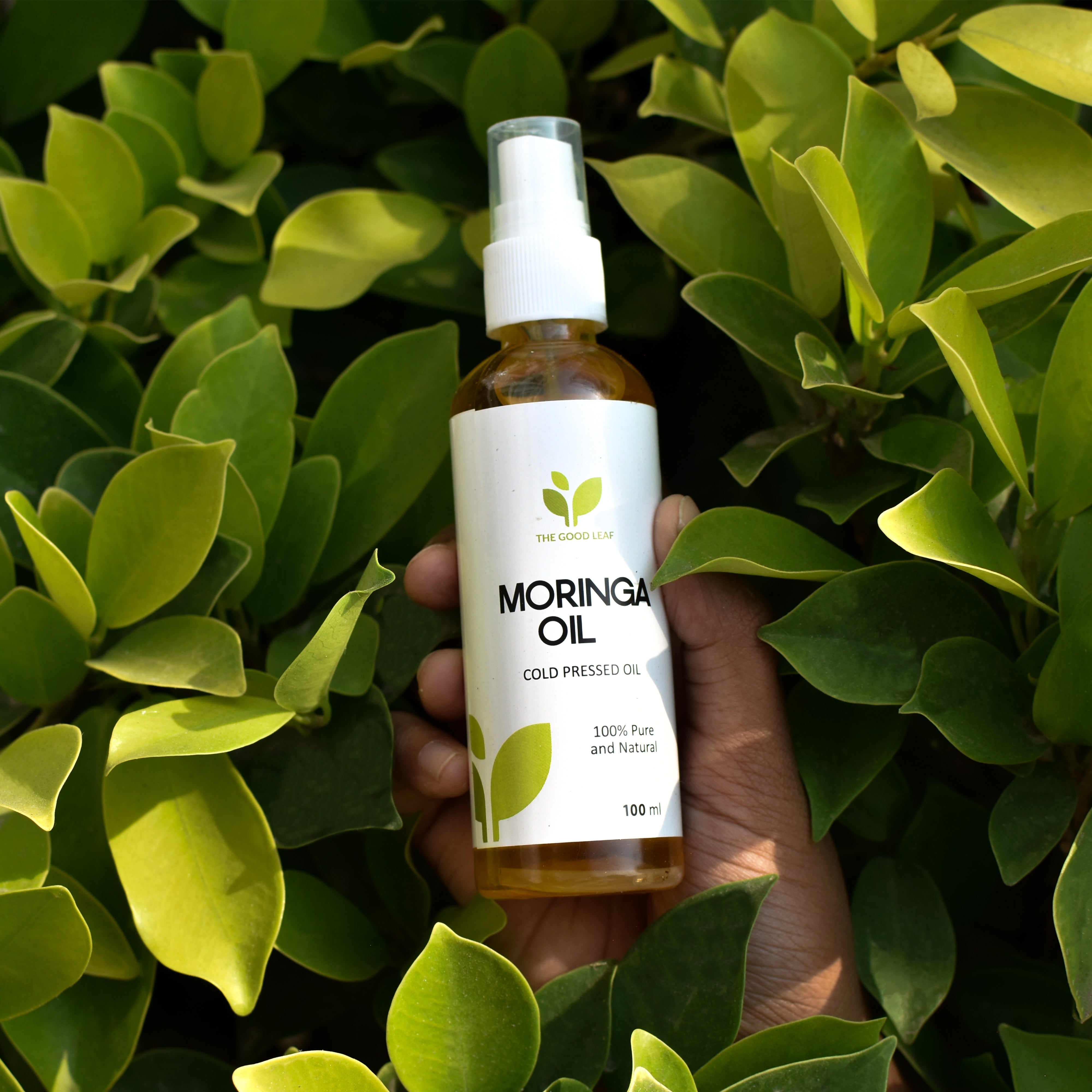 Cold Pressed Moringa Oil