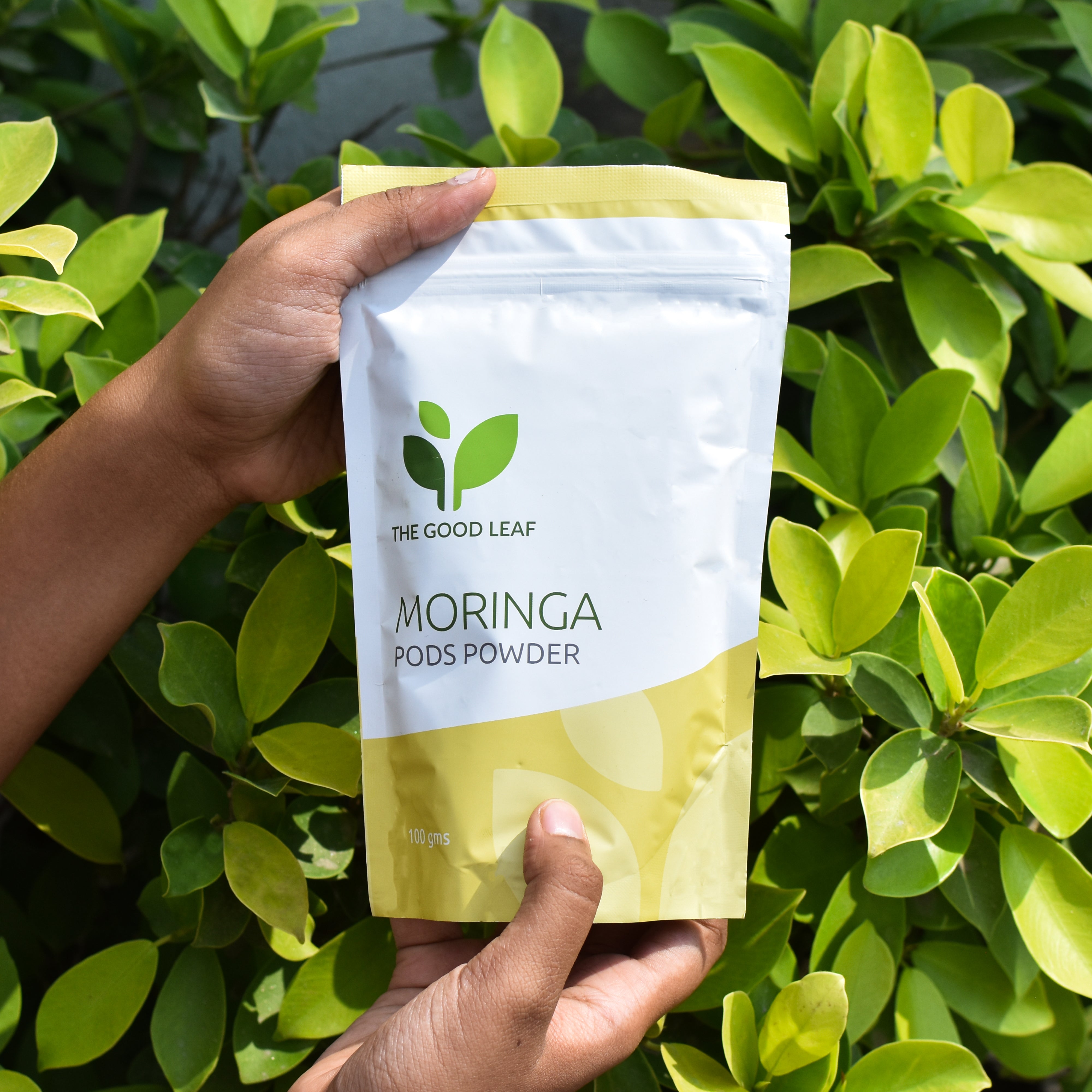 Moringa Pods Powder